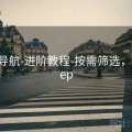 0149导航-进阶教程-按需筛选，导航cep